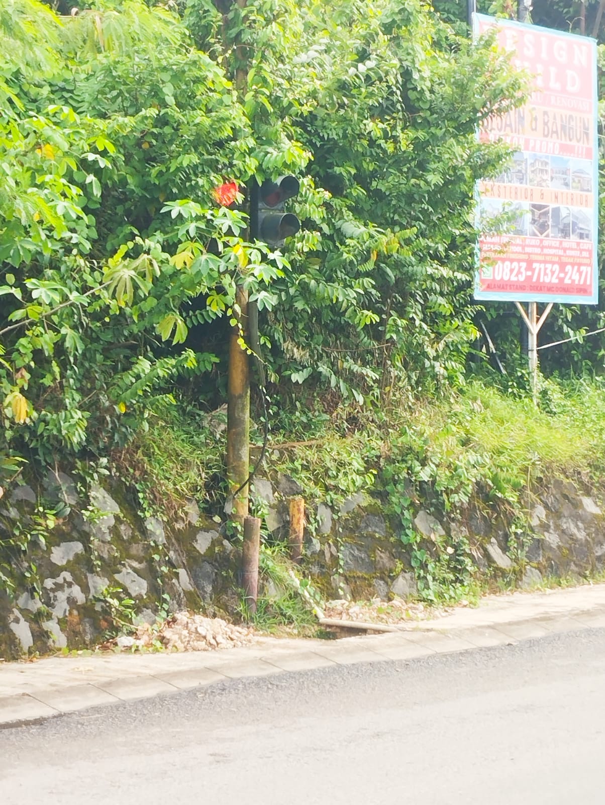 Lampu Lalu Lintas Tertutup Tumbuhan, Ganggu Keselamatan dan Ketertiban Publik.